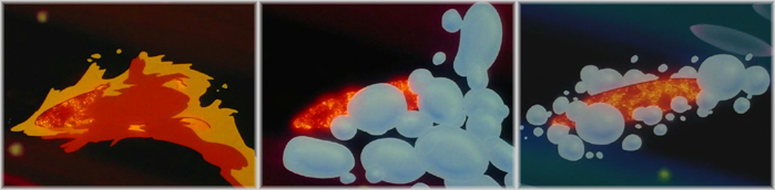 Fusione della Moon Tiara Action con il [[Fire Soul