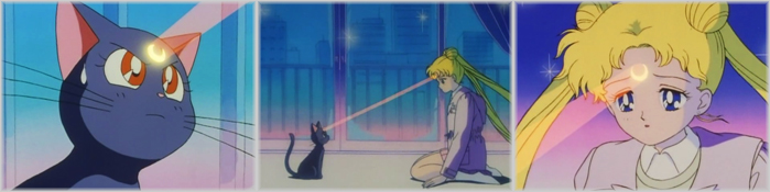 Usagi