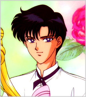 Mamoru nell'anime