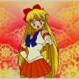 sailor_venus_anime3.jpg